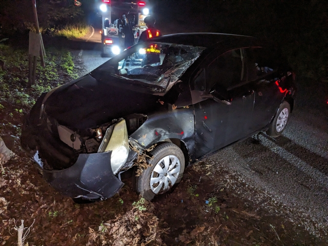 レンタカーの自動車保険