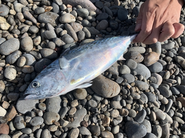 レンタカーで釣りに行くメリット